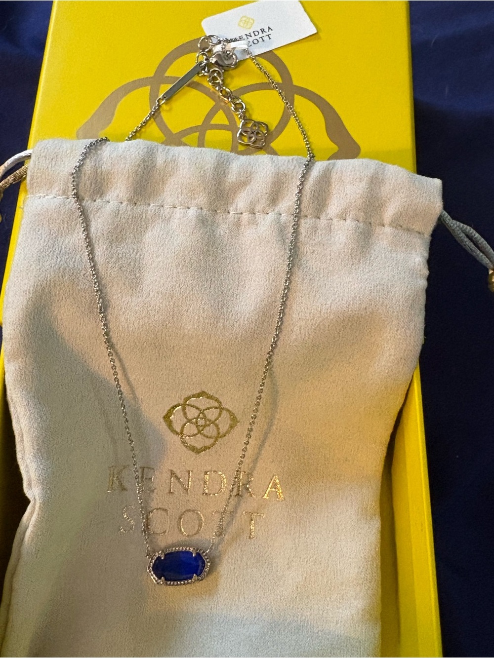 Kendra Scott Silver Necklace with Blue Pendant nwt